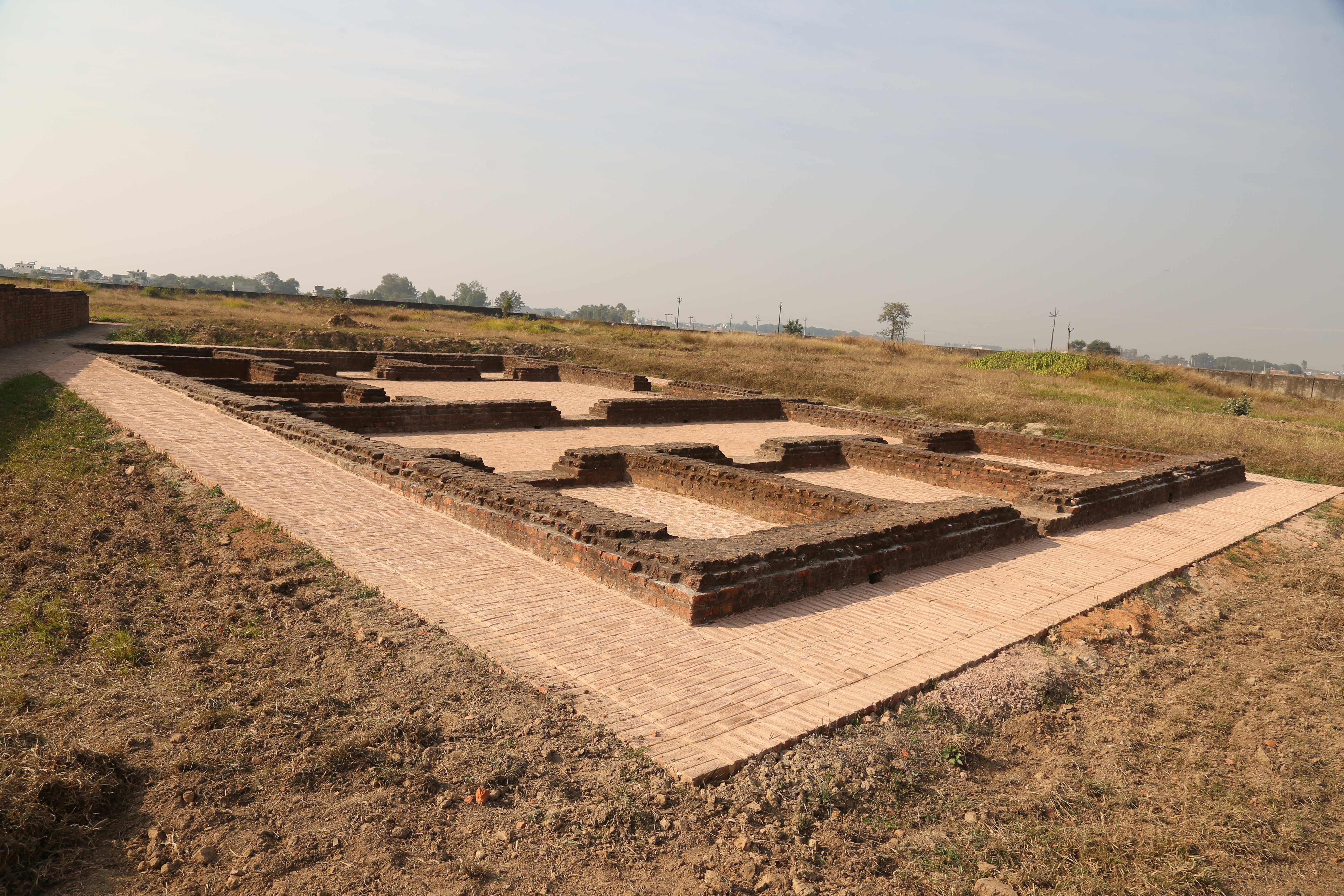 Conservation Work