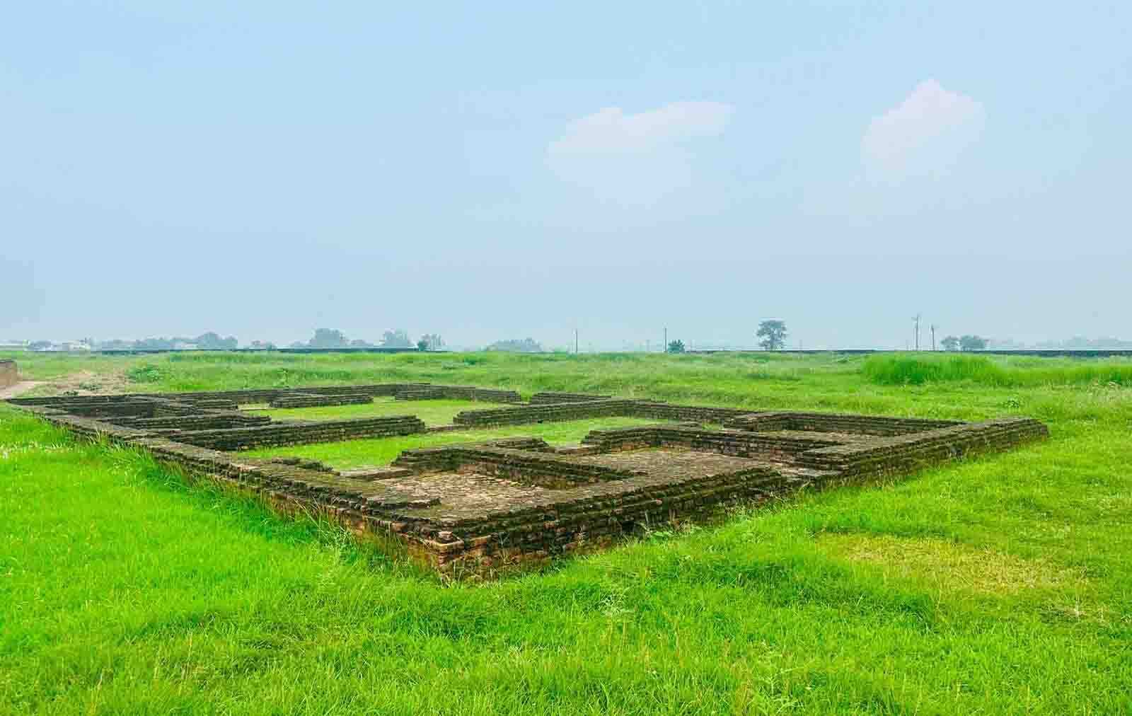 Conservation Work